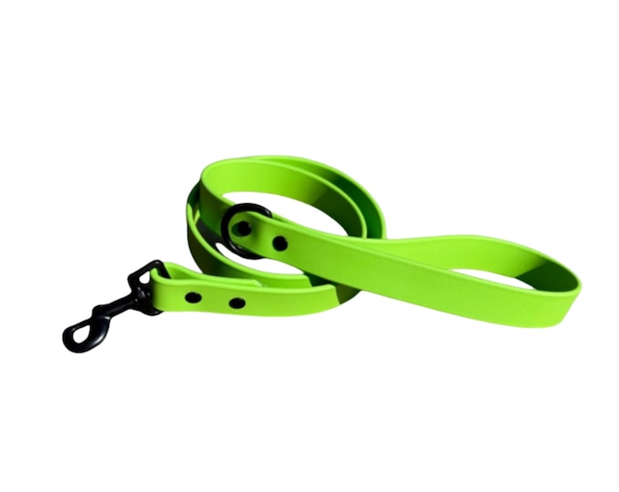 Bright Lime Green BioThane® Waterproof Dog Leash 1"