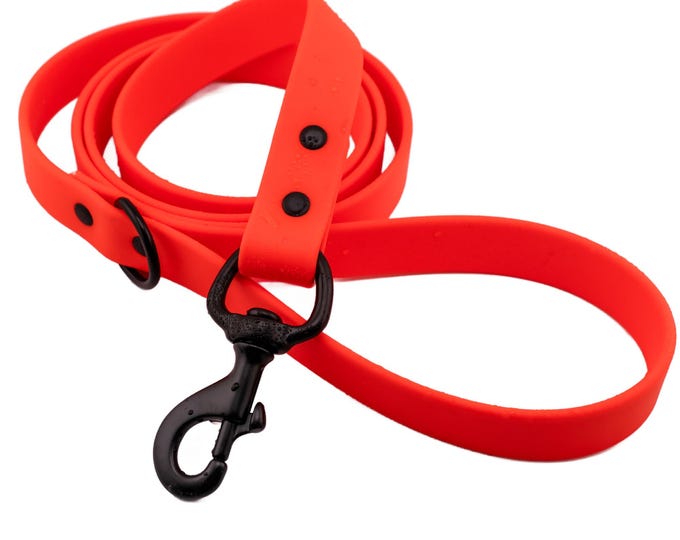 Vivid Orange BioThane® Waterproof Dog Leash 3/4"