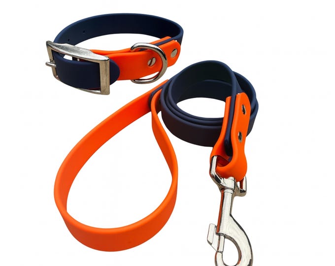 Two-Tone BioThane Dog Collar & Leash Set: Waterproof, Stink-Proof Walking Gear