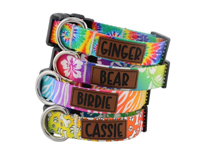 Custom Dog Collar And Matching Leash Set in a Rainbow Print with Pets Name