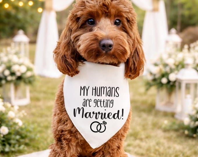 My Humans are getting Married! Dog Bandana with Engagement Rings