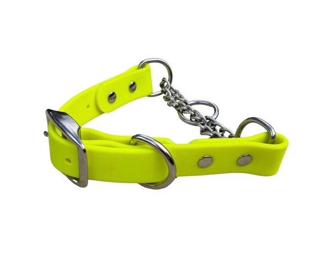 Biothane Martingale Dog Collar with Buckle | Waterproof Adjustable Training Collar, Matching Leash Option