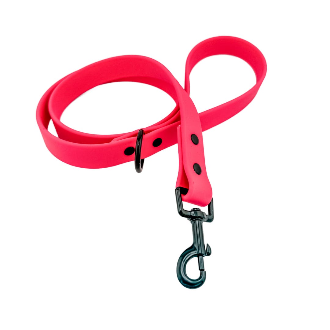 Pink Leach Bright Pink Biothane® Waterproof Dog Leash 1
