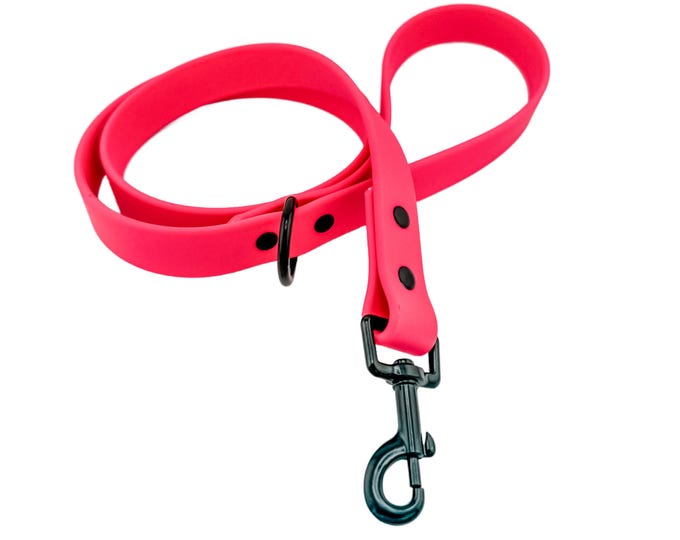 Bright Pink BioThane® Waterproof Dog Leash 1" – Durable, Odor-Resistant, and Easy to Clean
