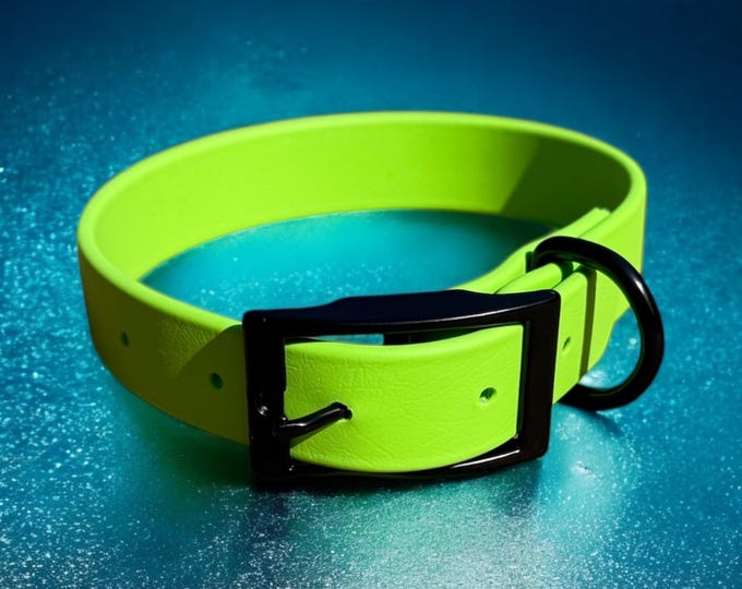 Green Waterproof BioThane® Dog Collar 1" – Durable, Odor-Free, Easy Clean Outdoor Pet Gear