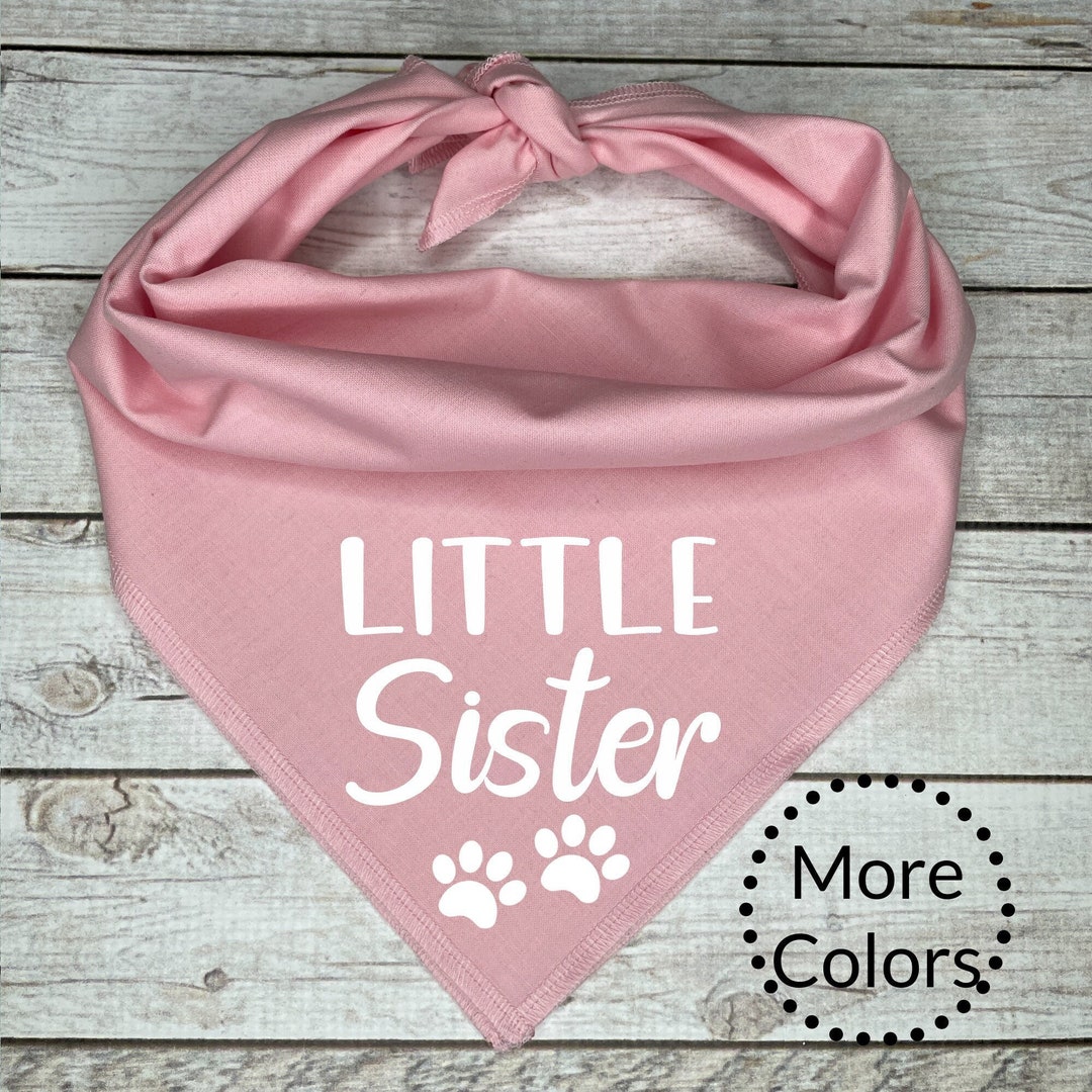 Little Sister Dog Bandana Pregnancy Announcement Etsy