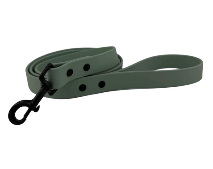 Sage BioThane® Waterproof Dog Leash 1"– Durable, Odor-Resistant, and Easy to Clean