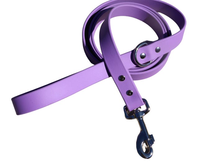 Light Purple BioThane® Waterproof Dog Leash 1" – Durable, Odor-Resistant, and Easy to Clean