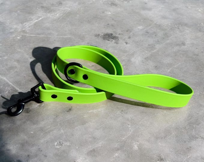 Green BioThane® Waterproof Dog Leash 1"