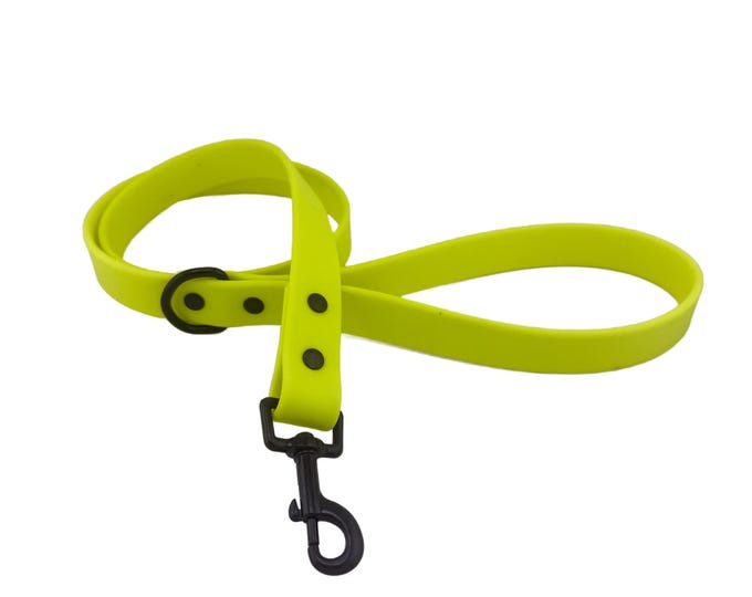 Yellow BioThane® Waterproof Dog Leash 1" – Durable, Odor-Resistant, and Easy to Clean