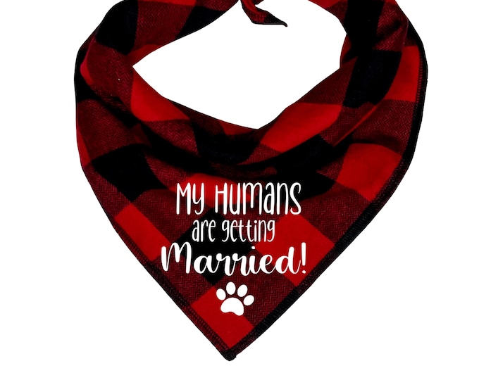 Getting Married Dog Bandana in Christmas Plaid