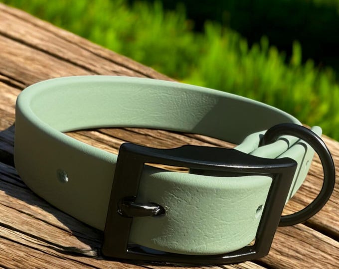 Sage Green Waterproof BioThane® Dog Collar 3/4"– Durable, Odor-Free, Easy Clean, Soft Outdoor Pet Collar