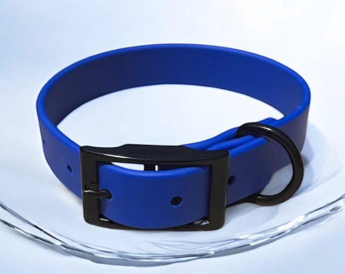 Blue Waterproof BioThane® Dog Collar 1"  Durable, Easy-Clean, Odor-Resistant Pet Gear for Active Dogs