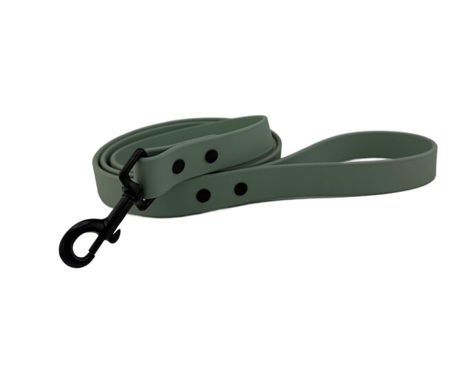 Sage BioThane® Waterproof Dog Leash 1"– Durable, Odor-Resistant, and Easy to Clean