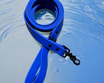Blue BioThane® Waterproof Dog Leash 1"  Durable, Odor-Resistant, and Easy to Clean