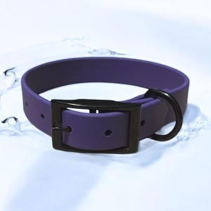 Purple Waterproof BioThane® Dog Collar 1 &quot; – Durable, Odor-Resistant, Easy Clean, Pet Gear for Active Dogs