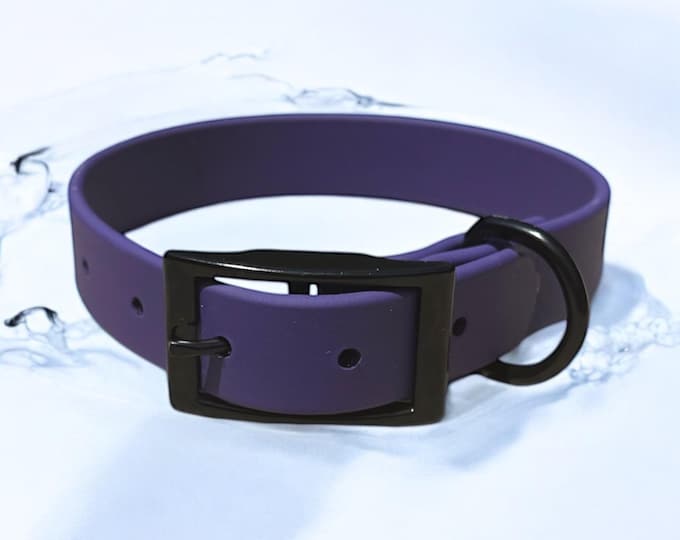 Purple Waterproof BioThane® Dog Collar 1 " – Durable, Odor-Resistant, Easy Clean, Pet Gear for Active Dogs