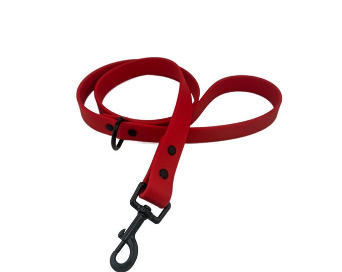 Red BioThane® Waterproof Dog Leash 3/4"
