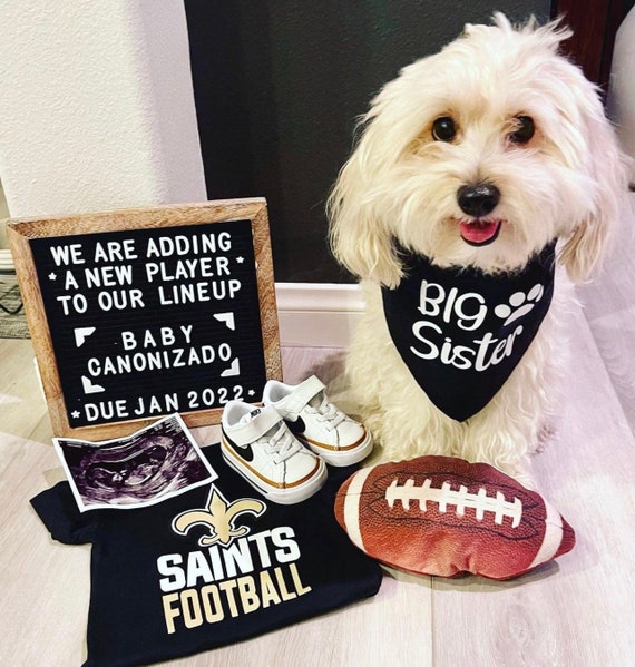 Big Sister Dog Bandana Pregnancy Announcement Etsy