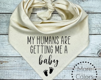 My Humans are getting me a Baby  Dog Bandana