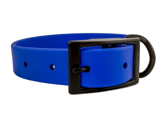 Blue Waterproof BioThane® Dog Collar 1"  Durable, Easy-Clean, Odor-Resistant Pet Gear for Active Dogs