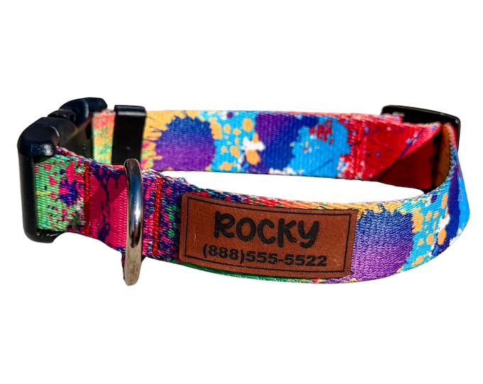 Personalized Paint Splatter Dog Collar with Matching Leash Option
