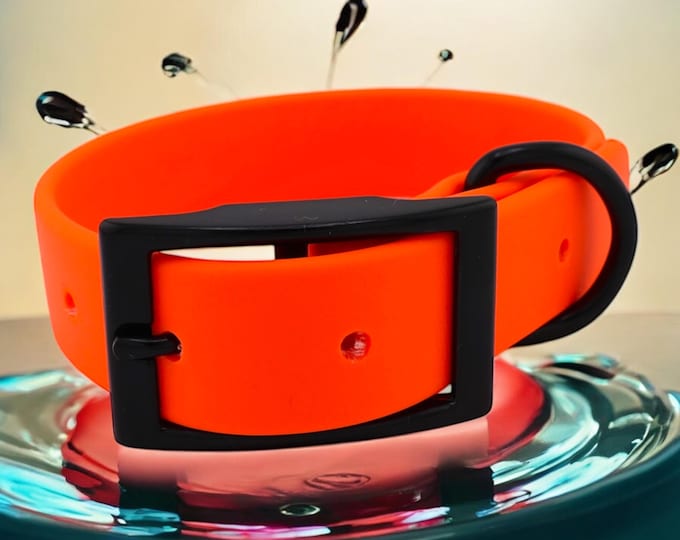 Vivid Orange Waterproof BioThane® Dog Collar 1" – Durable, Odor-Proof, Easy Clean, Outdoor Pet Gear