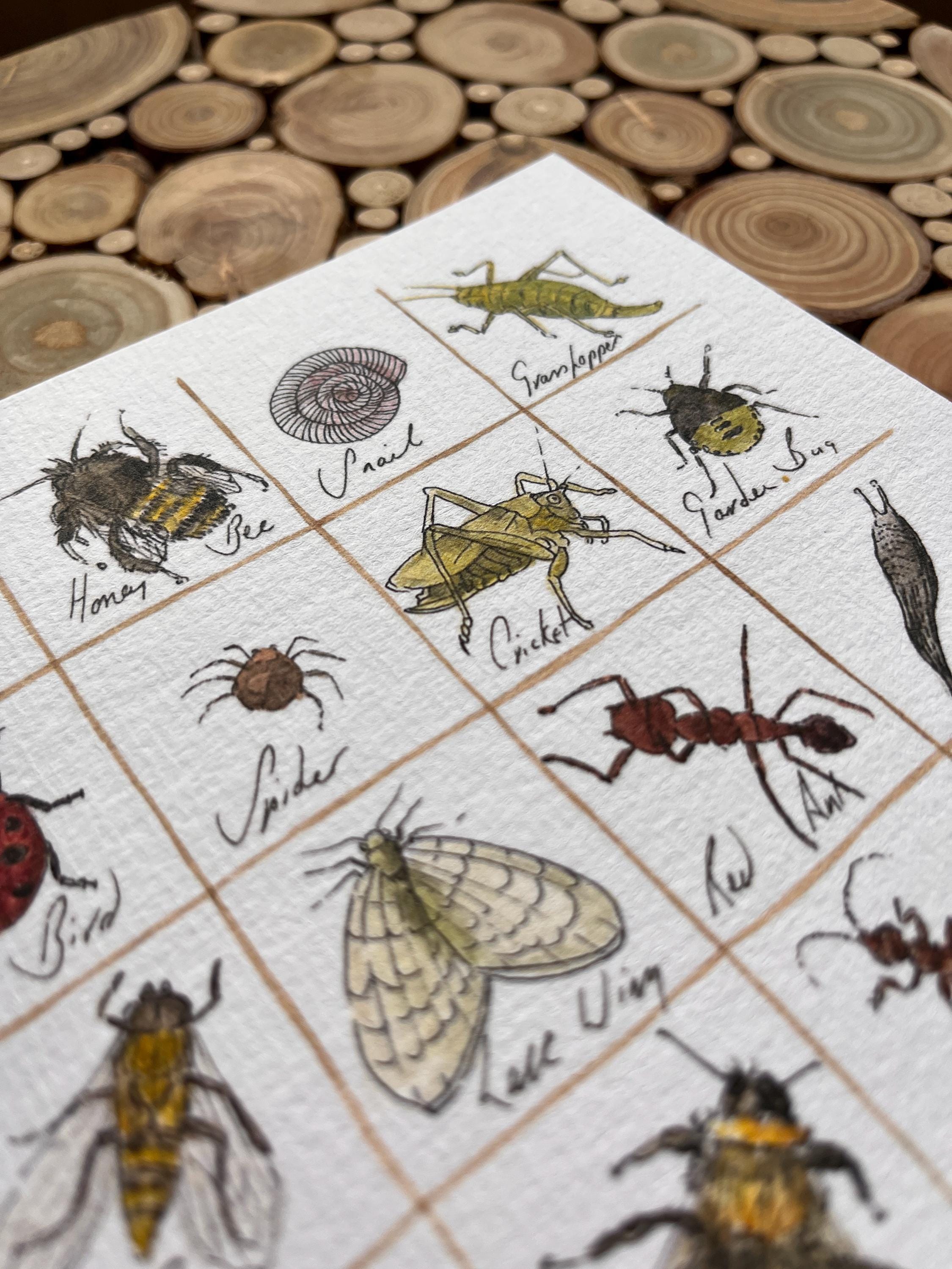 Insects Greeting Card, Pen and Watercolour, - Etsy UK