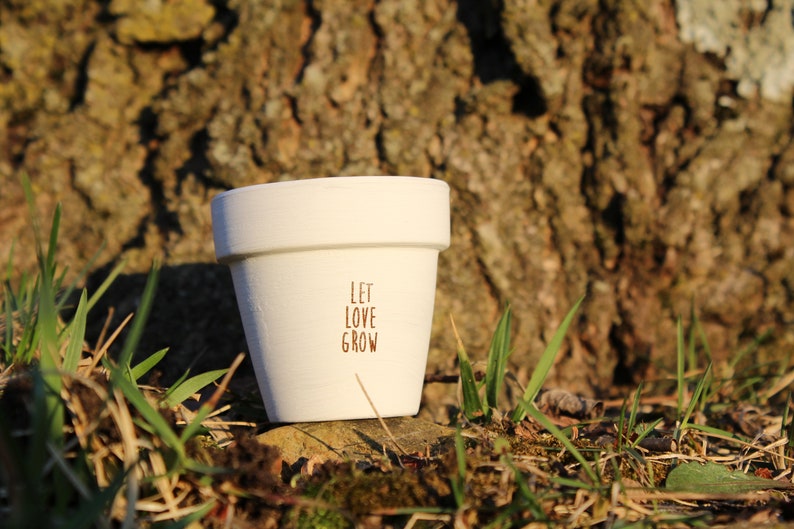 Let Love Grow Succulent Pot