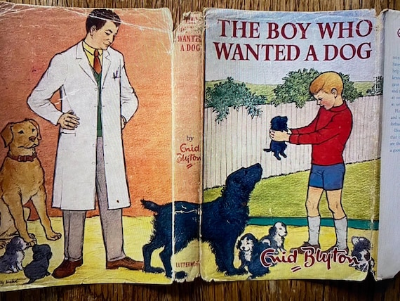 Vintage The Boy Who Wanted A Dog by Enid Blyton - 1st Edition - Hardback With Dust Jacket - 1963