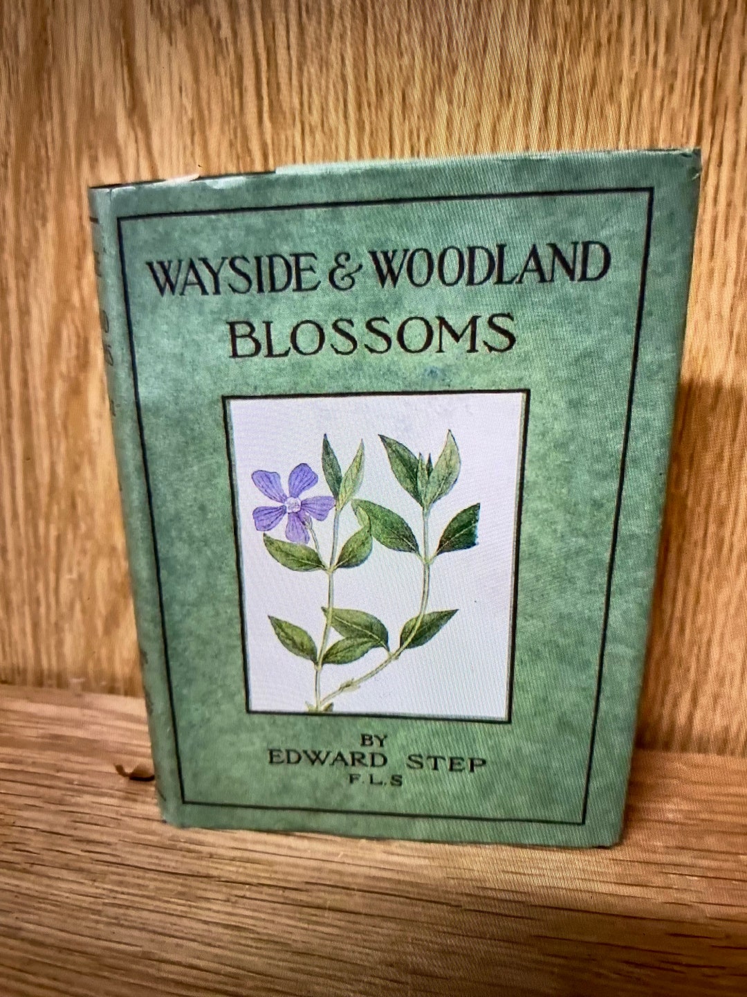 Vintage Wayside and Woodland Blossoms Series 2 by Edward Step (early ...