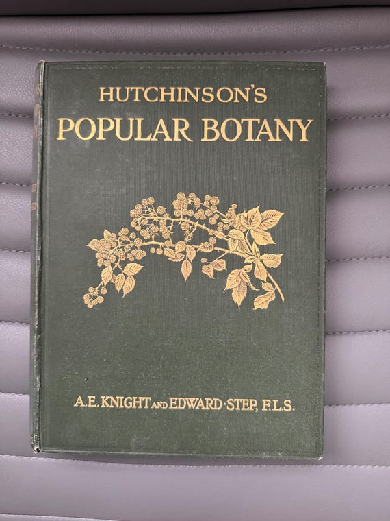Vintage Hutchinson’s Popular Botany - Volume 1 - AE Knight and Edward Step