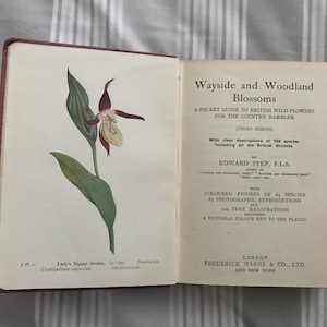 Könnte beinhalten: Ein geöffnetes Buch mit dem Titel "Wayside and Woodland Blossoms: A Pocket Guide to British Wild-Flowers for the Country Rambler (Third Series)" von Edward Step, F.L.S. Das Buch zeigt auf der linken Seite eine farbige Illustration einer Frauenschuh-Orchidee (Cypripedium calceolus).
