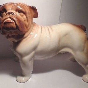 Puede incluir: Una figurita de cerámica de un bulldog. El bulldog está de pie con las patas separadas. La figurita está pintada en tonos marrones y blancos.