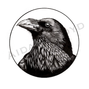 Rabe | Illustration | Kunstdruck | Dark Art | Original Kunst