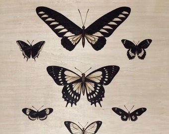 Butterfly Species Board Print