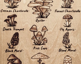 Wild Mushrooms Print