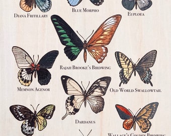 Chimera Butterflies Print