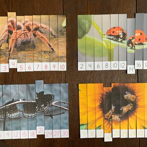 Montessori-Inspired Bug Skip Counting Puzzles Printable