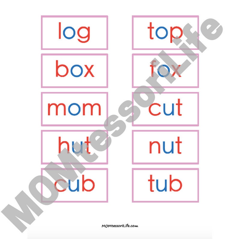 Printable Montessori Pink Series Photos and Words Cards in Print AND ...