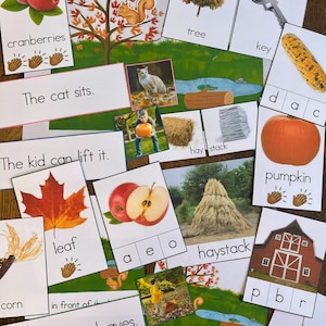 May include: A set of educational flashcards for children featuring autumn-themed images and words. The cards include images of a tree, a key, a haystack, a pumpkin, a leaf, a rake, corn, cranberries, an apple, a barn, and a cat. The cards also include simple sentences and words to help children learn about the season.