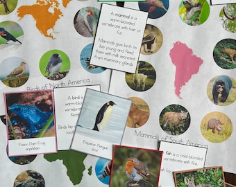 Montessori Vertebrates of the Continents Bundle