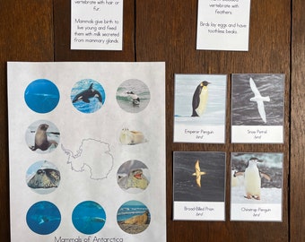 Montessori Vertebrates of Antarctica Bundle