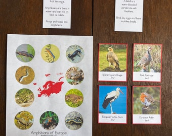 Montessori Vertebrates of Europe Bundle