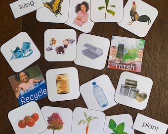 Montessori Science Sorting Bundle