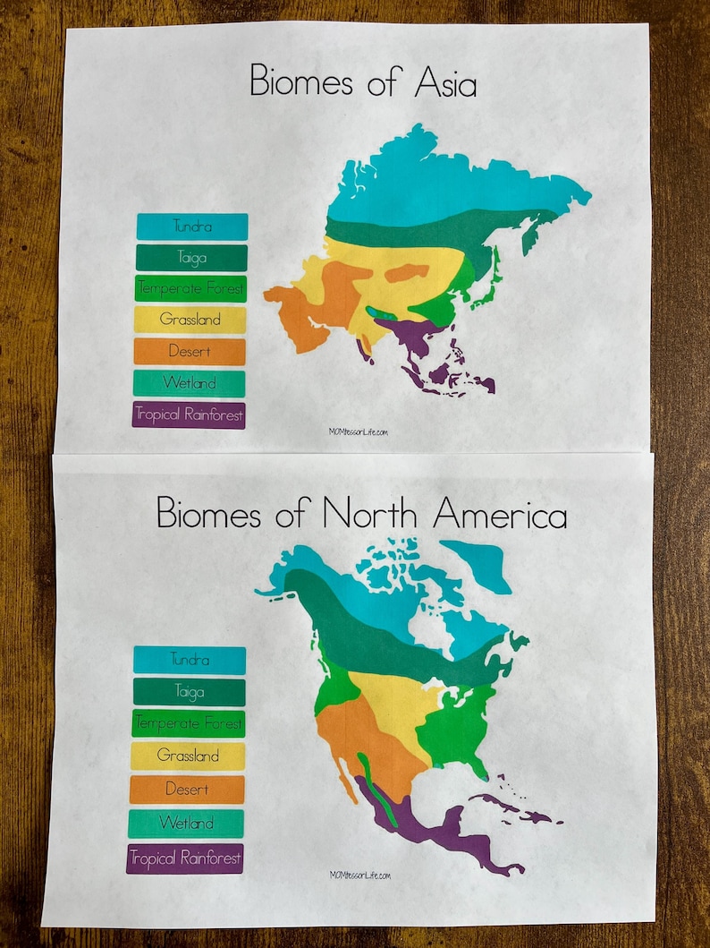 Montessori-inspired Biomes Bundle - Etsy