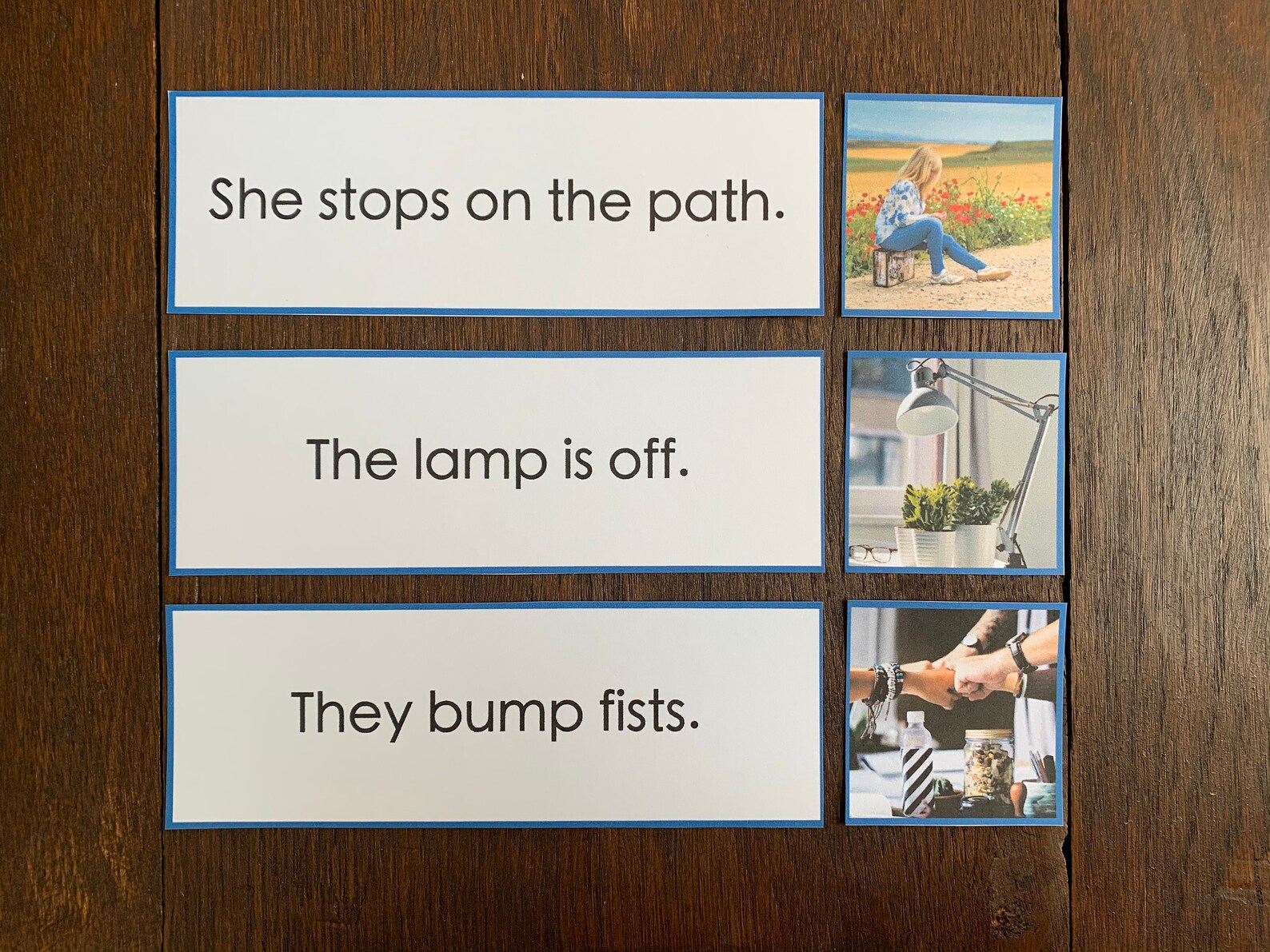 Printable Montessori Blue Series Sentence Strips Etsy