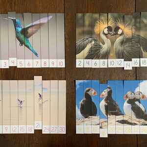 Montessori-Inspired Bird Skip Counting Puzzles Printable
