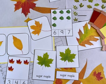 Montessori-Inspired Spring & Fall Leaf Bundle