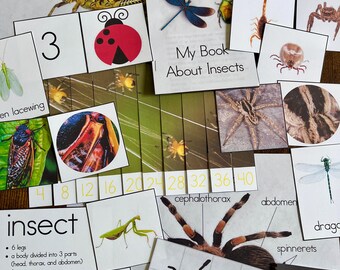 Montessori-Inspired Insects & Arachnids Bundle